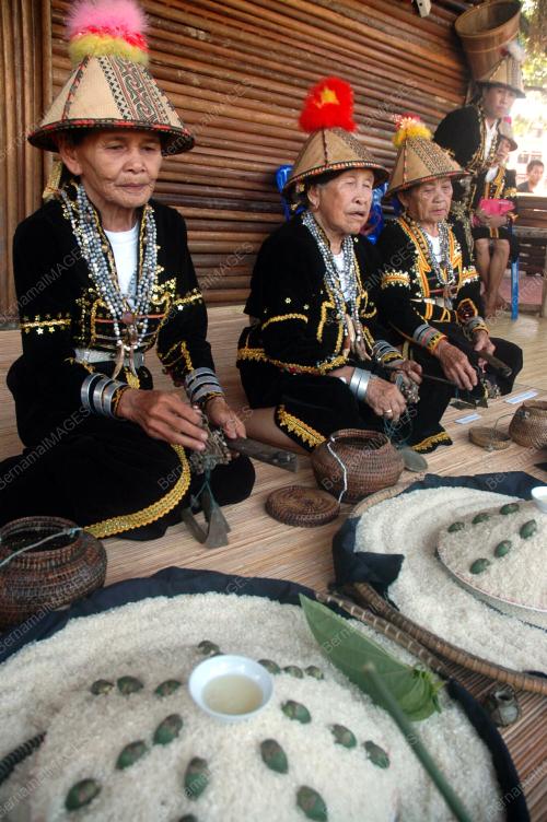 TADAU KAAMATAN 2009