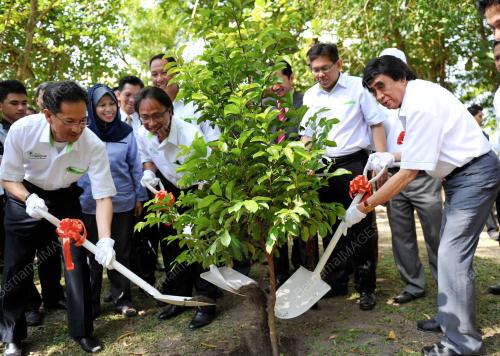 SB02_07022013_TANAM_POKOK