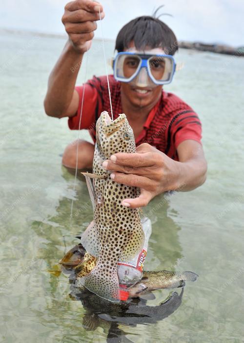 SB02_07062012_IKAN_SEGAR