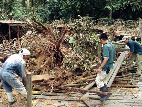PUSAT PEMULIHAN ORANG UTAN SEPILOK