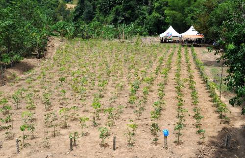 LADANG GETAH