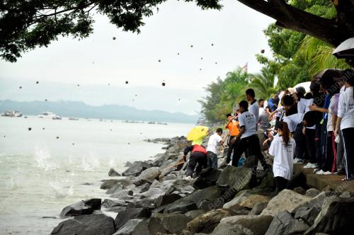 MUDBALLS