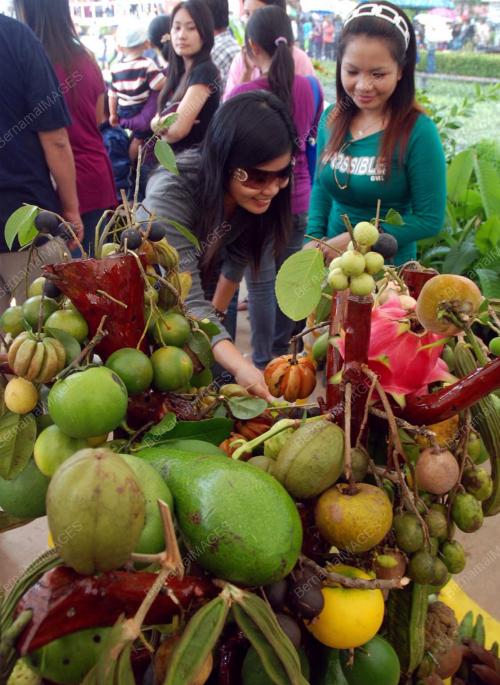 BUAH TEMPATAN