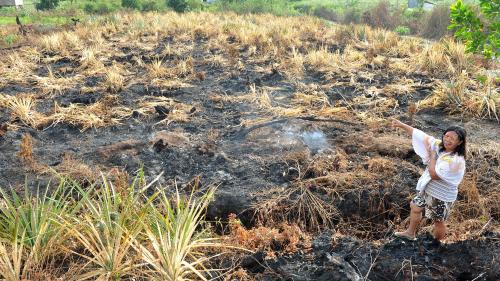 SB02_12042016_TERBAKAR