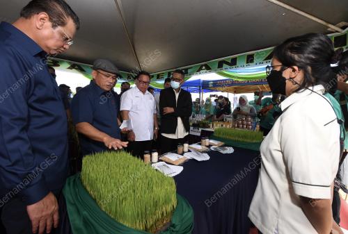 DATUK SERI DR RONALD KIANDEE