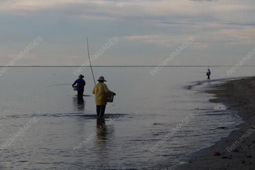 SB02_13102019_MEMANCING