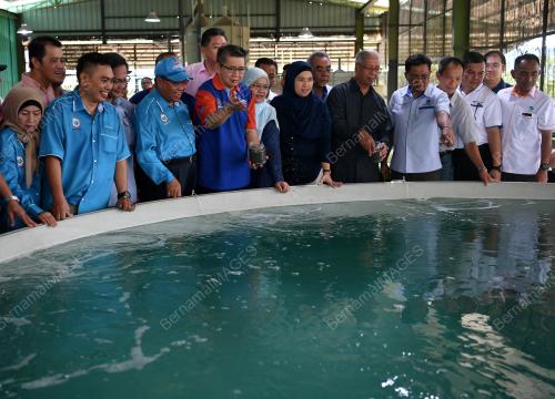 SB02_14072019_LAWATAN