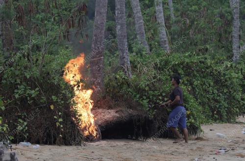 BENCANA KEMARAU DI PAPAR