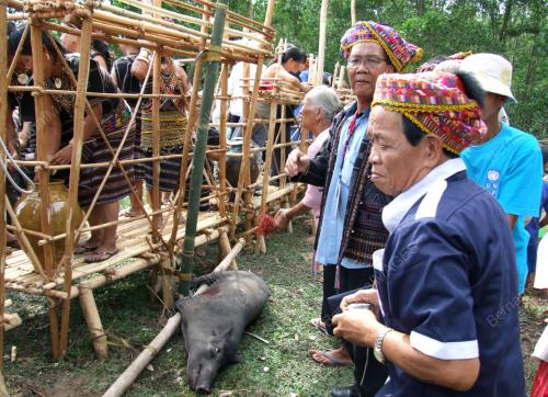 PESTA MAGAHAU