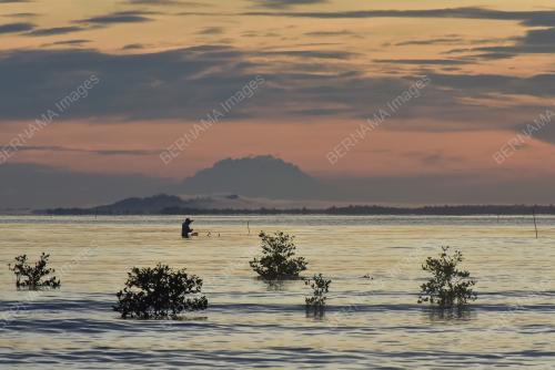 SB02_17082021_SUNRISE