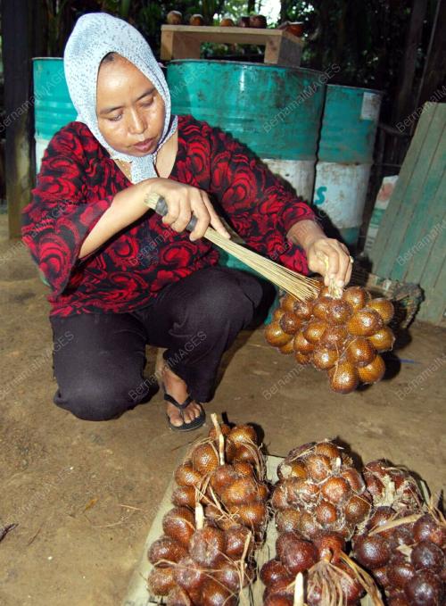 BUAH SALAK