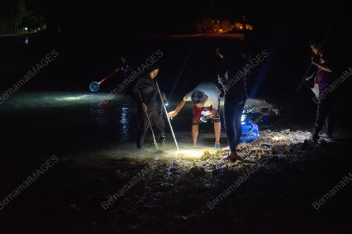 AKTIVITI MENYULUH KETAM