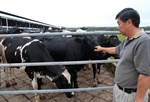 SB02_20022014_LEMBU