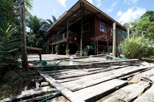 BANJIR_PULIH