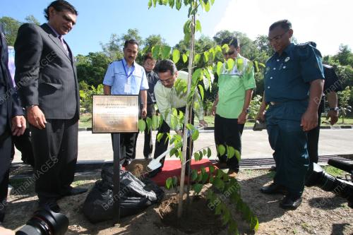 MUSA AMAN