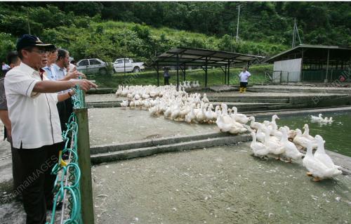 YAHYA HUSSIN