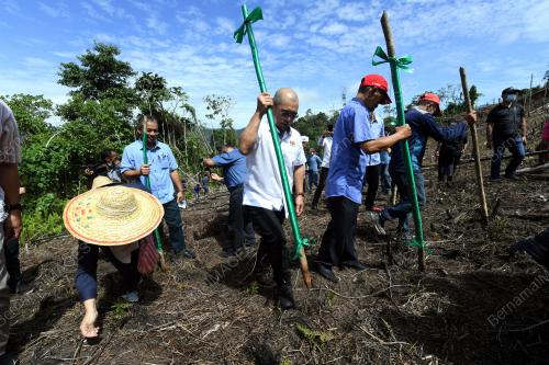 BANTUAN PETANI PADI BUKIT
