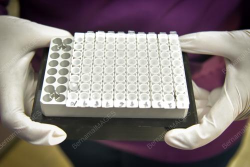 SB02_23082021_PCR_LAB