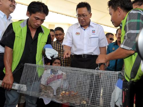 SB02_24082013_ANTI_TIKUS
