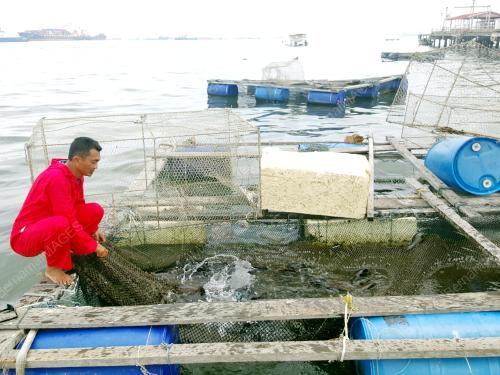 SB02_25032016_FISH_CAGE