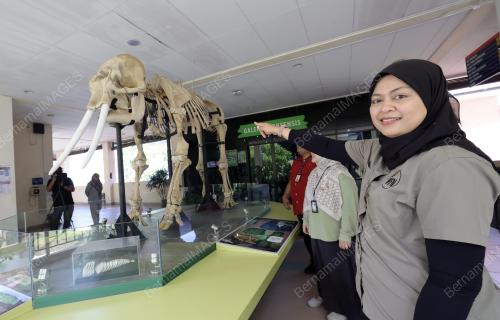 PENSYARAH UMS DR NURZHAFARINA