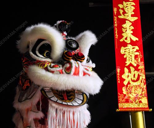 TARIAN SINGA
