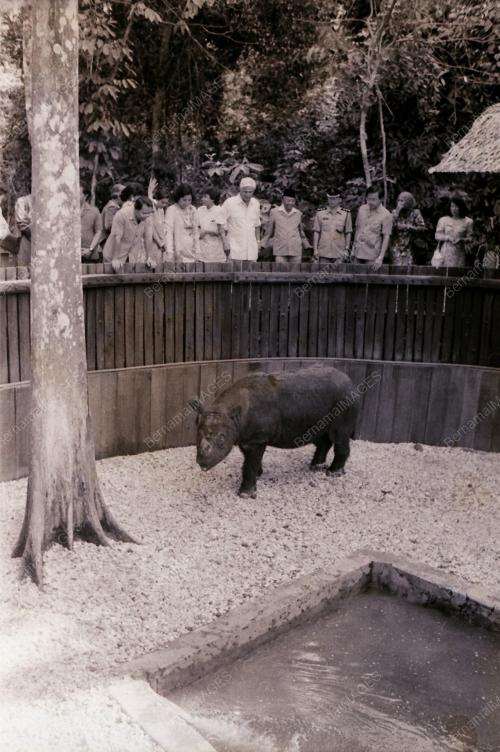 YANG DI-PERTUAN AGONG