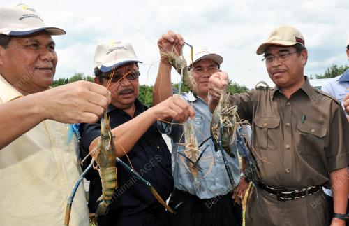 DATUK YAHYAH HUSSIN