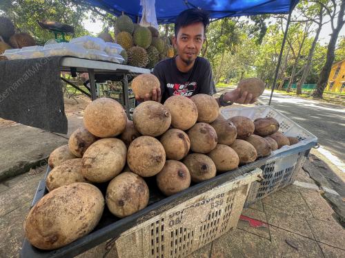 BUAH EKSOTIK_BUAH BAMBANGAN