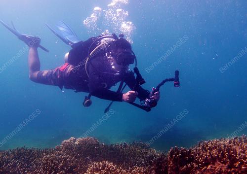 SB02_27082019_TAMAN_LAUT