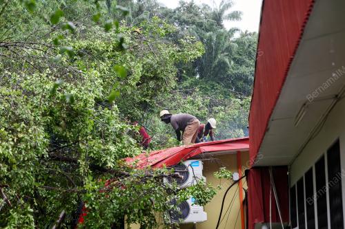 TANAH RUNTUH