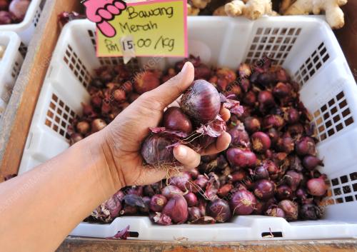 HARGA BAWANG MERAH NAIK