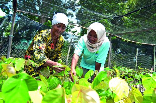 SB02_29042016_SUNGAI