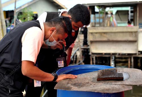 AEDES DAN DENGGI