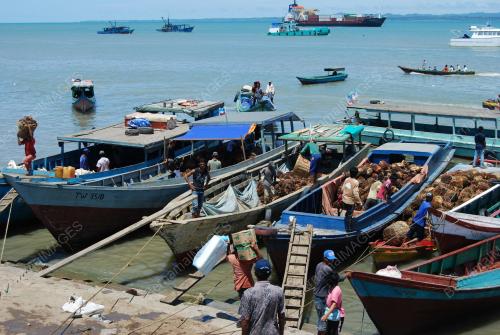 BATU PEKERJA SAWIT