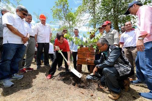 SB02_30032019_TERESA_POKOK