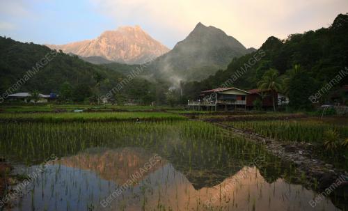 KEINDAHAN KAMPUNG TAMBATUON