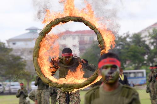 HARI TENTERA DARAT KE-87