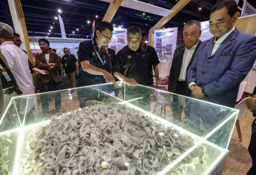 DATUK SERI MOHAMAD SABU