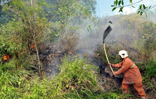 KEBAKARAN LALANG