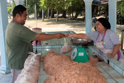 MUSIM BUBUK_UDANG GERAGAU