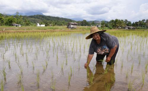 PENDUDUK KAMPUNG MAHU VAKSIN