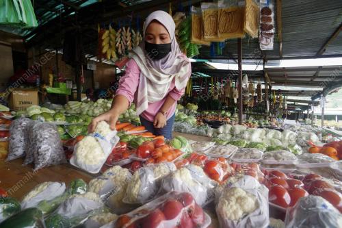 PENIAGA SAYUR KUNDASANG