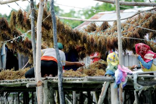 SB03_09032013_RUMPAI