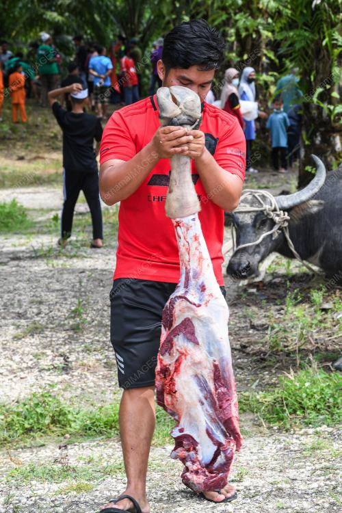KORBAN