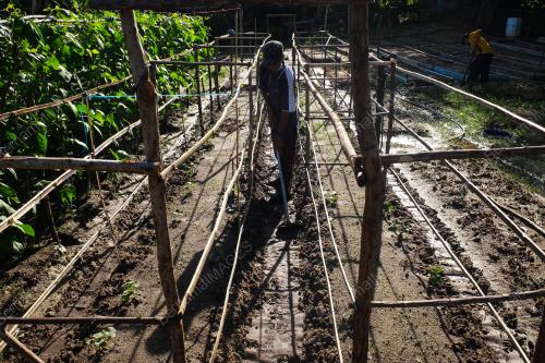 URBAN FARMING - KEBUN KOMUNITI