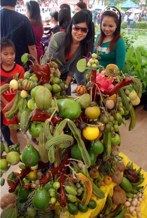 BUAH TEMPATAN