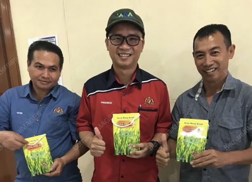 SB03_13022019_KELADI