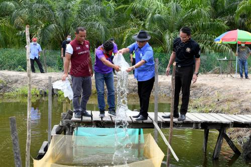 DATUK SERI DR. RONALD KIANDEE
