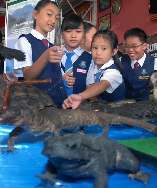 PAMERAN